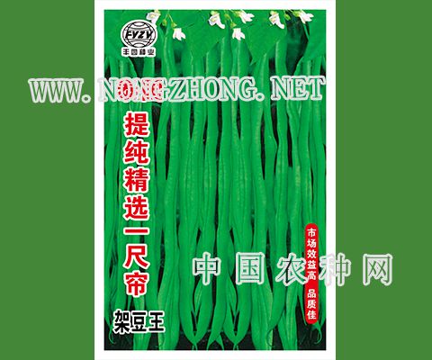 泰国提纯精选一尺帘  架豆王